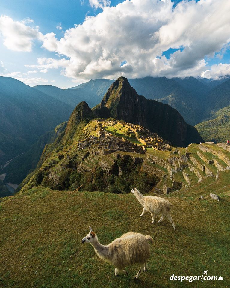 Despegar 2019 earnings