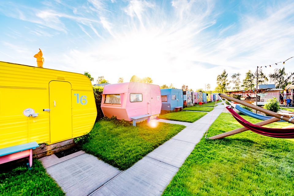 Hostelworld 2019 earnings