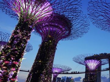  alt='How Singapore Tourism Board is working on a post-coronavirus strategy'  Title='How Singapore Tourism Board is working on a post-coronavirus strategy' 
