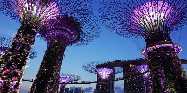 How Singapore Tourism Board is working on a post-coronavirus strategy