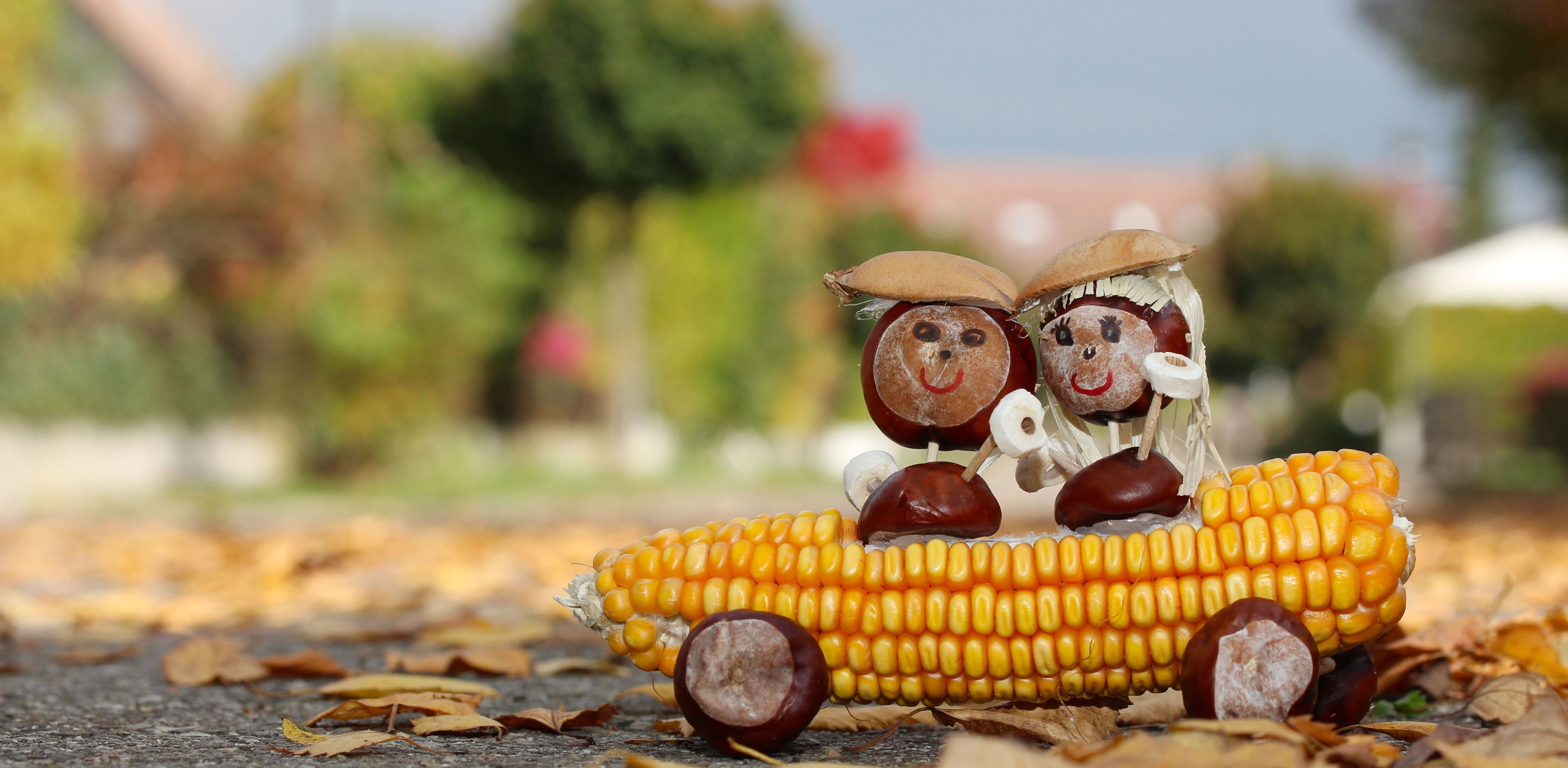 thanksgiving-travel-trends-2020