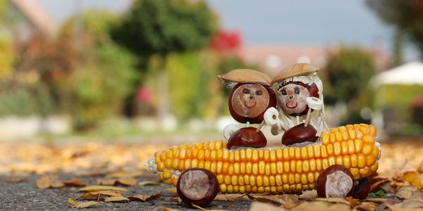 thanksgiving-travel-trends-2020