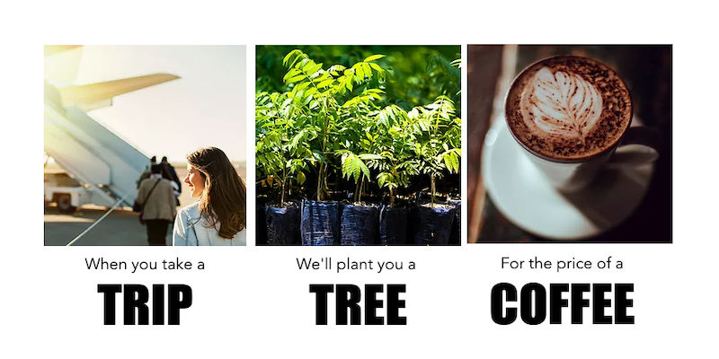 STARTUP STAGE: Trees4Travel offers a simple solution to address climate change