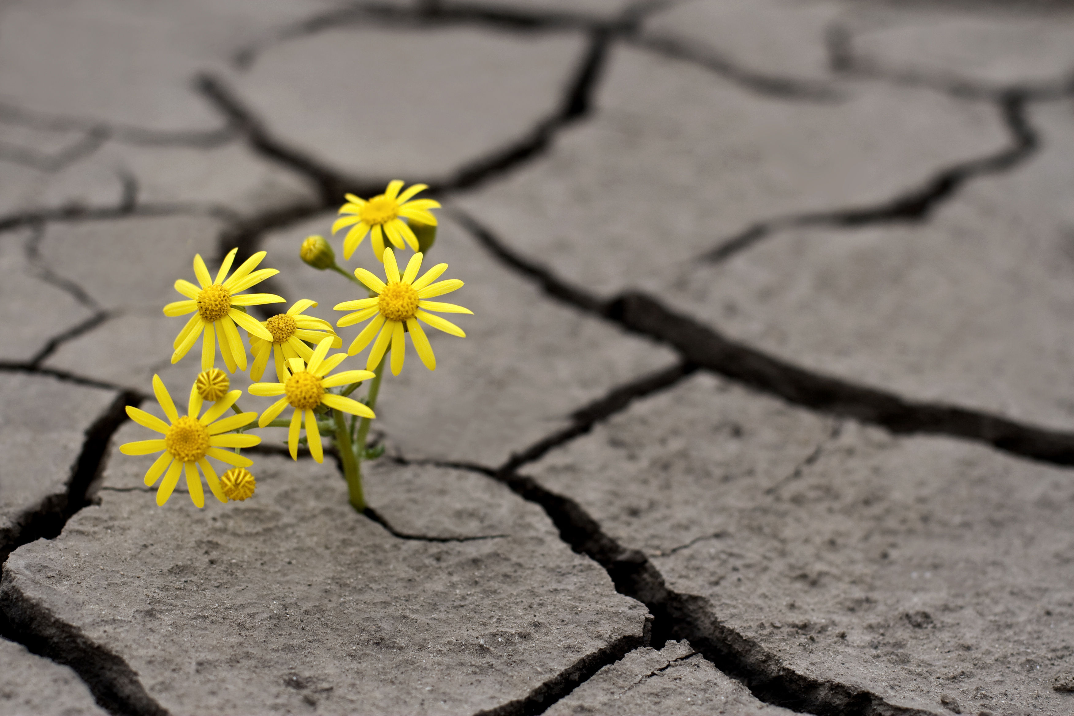  alt="Sounding Off: For travel startups to survive, they must reduce spend"  title="Sounding Off: For travel startups to survive, they must reduce spend" 