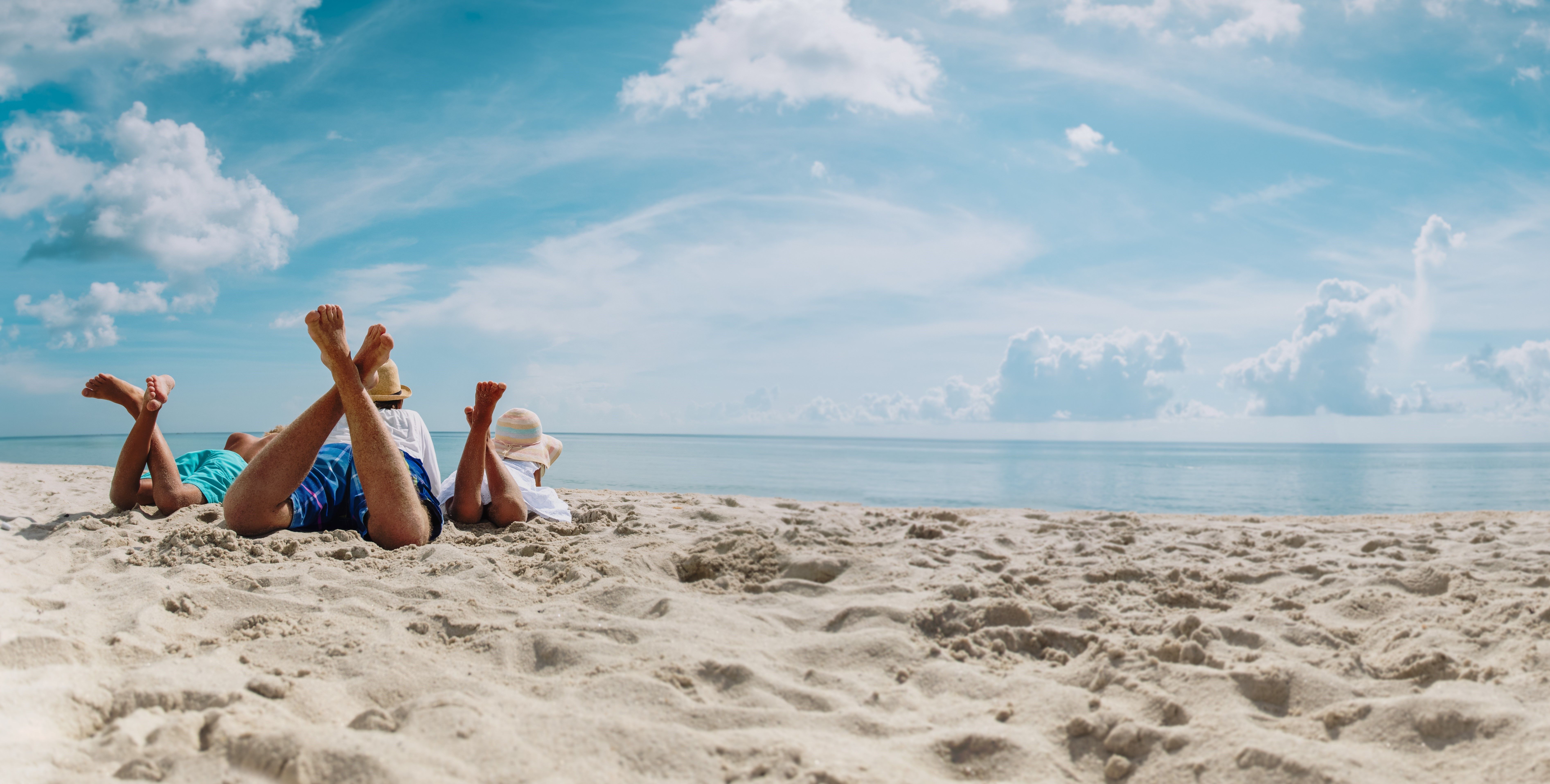  alt="skyscanner-data-survey"  title="skyscanner-data-survey" 