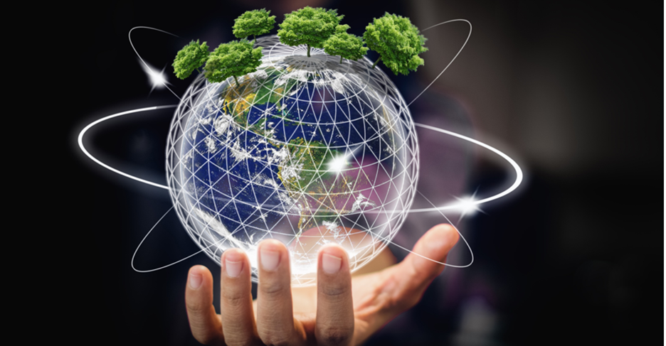 belvera-sustainability-report