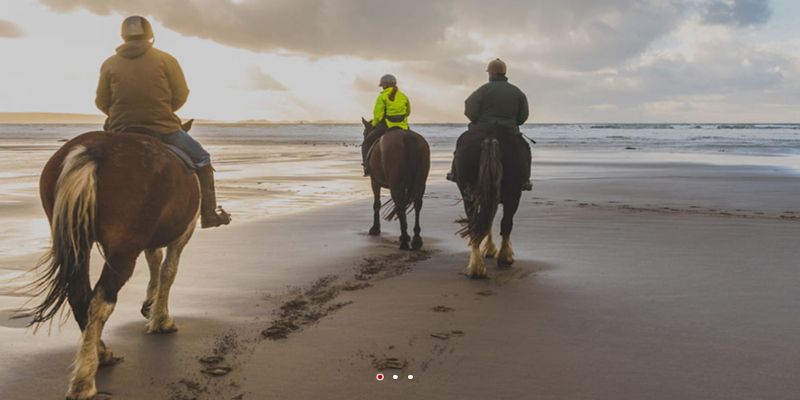 Tripadvisor's Bokun creates activities service with JTB online giant in Japan