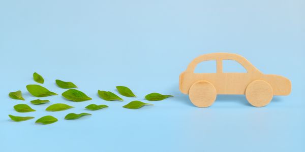 Sounding Off: Sustainability efforts need to start – now