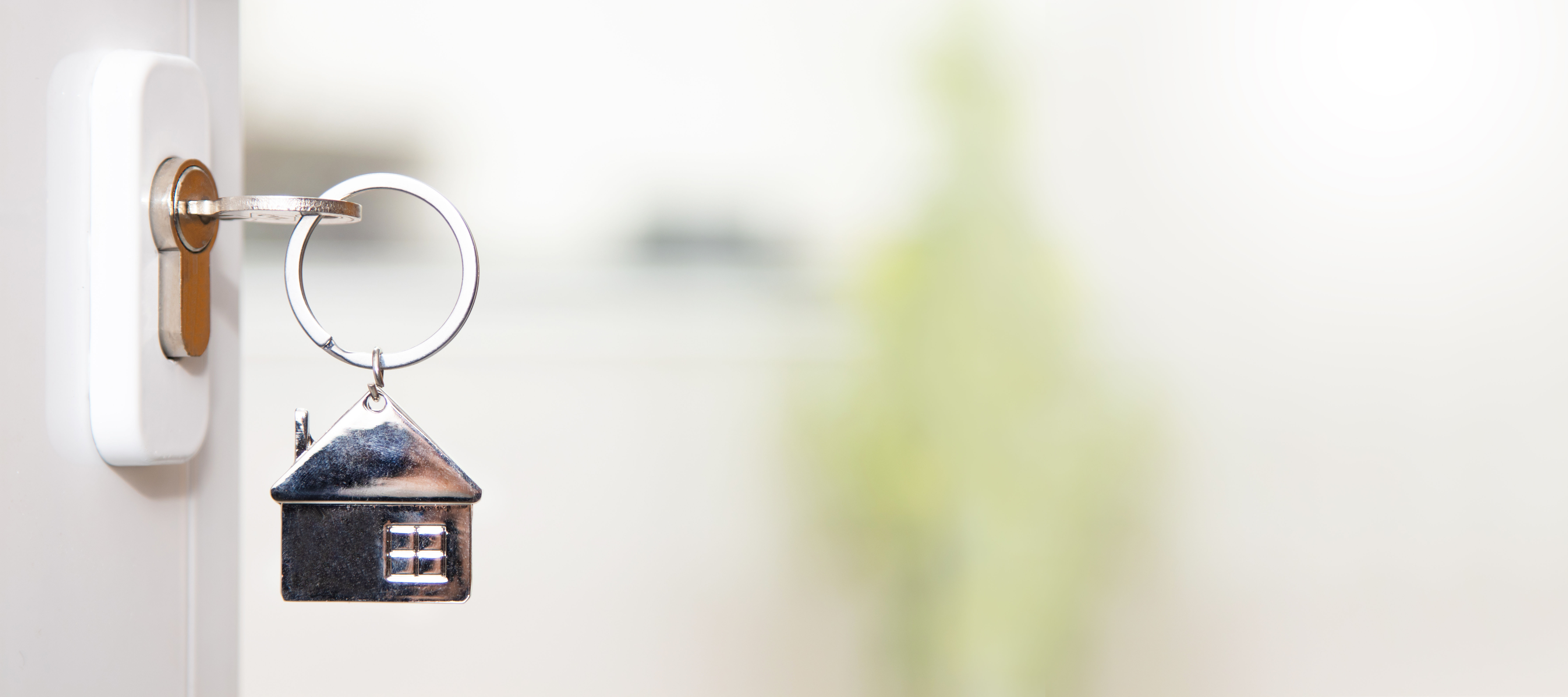 VIDEO: Fighting fraud in vacation rentals