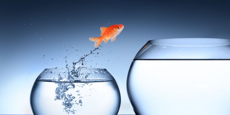 Sounding Off:  Brave or foolhardy - a tip of the hat for trying