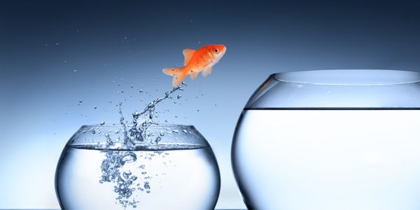 Sounding Off:  Brave or foolhardy - a tip of the hat for trying