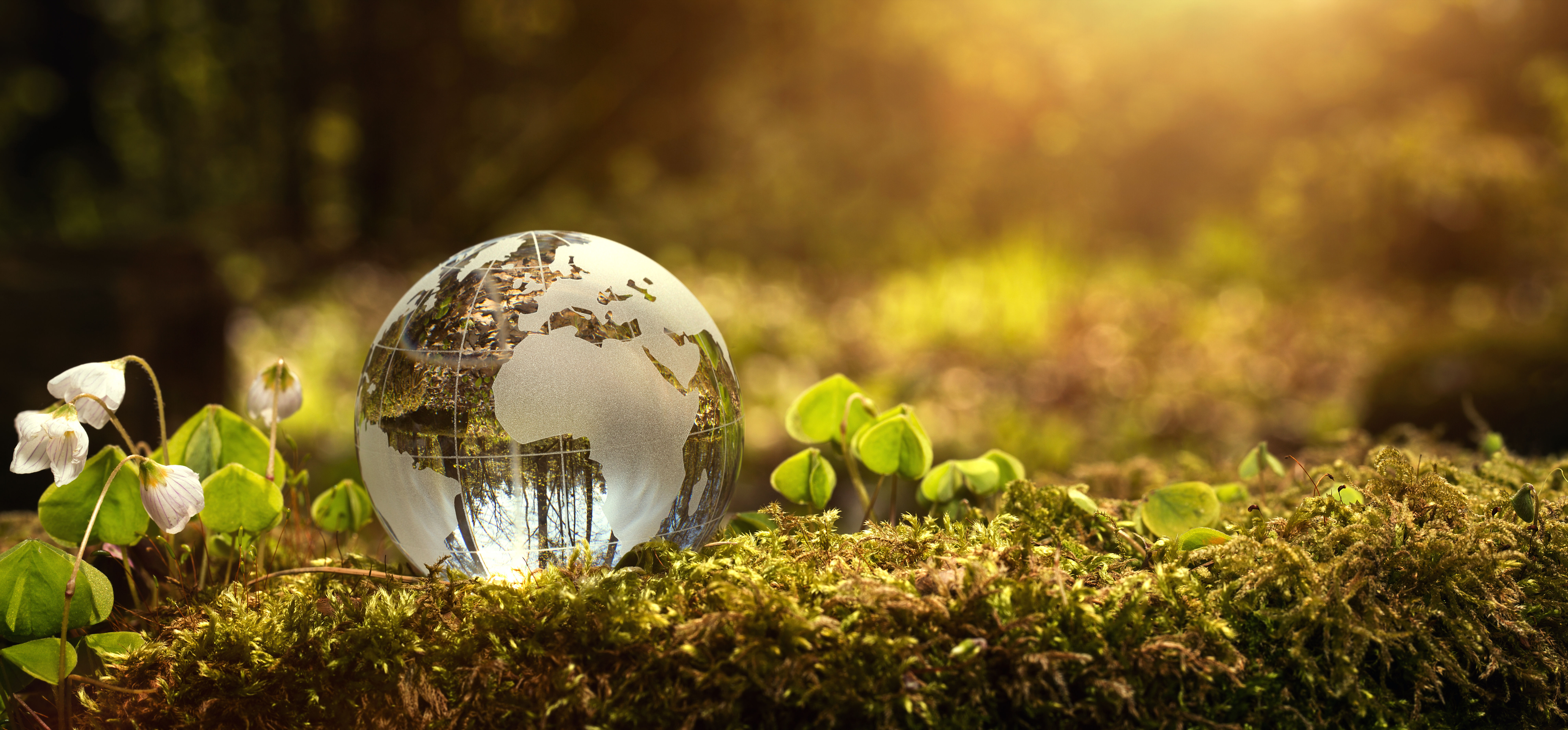 Sounding Off: No matter the state of travel, sustainability must be a priority