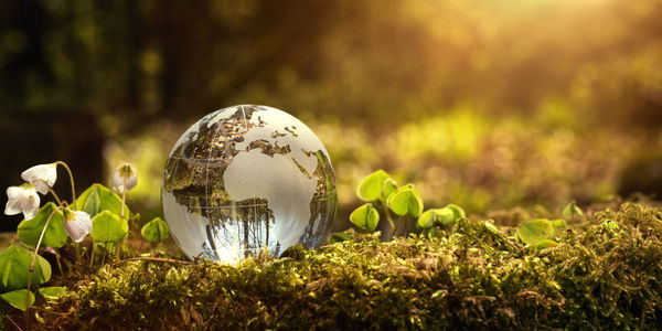 Sounding Off: No matter the state of travel, sustainability must be a priority