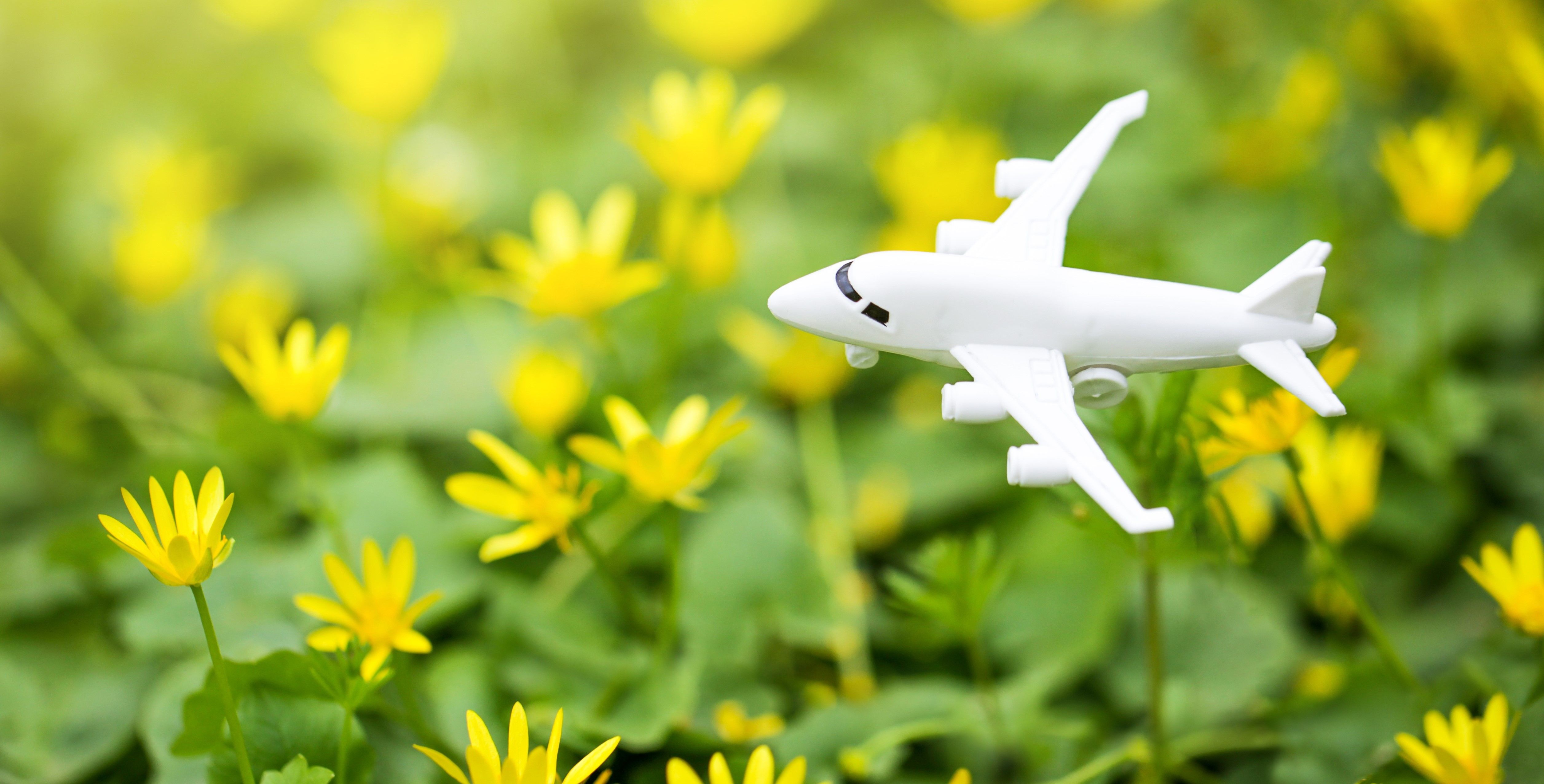 IBM launches climate impact tools for airlines, other companies