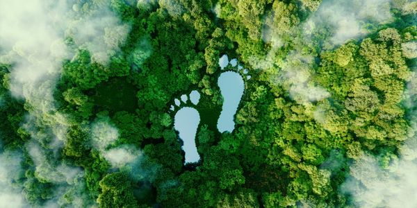 Amex GBT outlines environmental strategy
