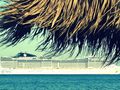 cruise-direct-booking-travel agents