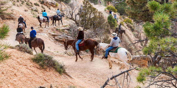 Priceline enters tours and activities game with launch of Priceline Experiences