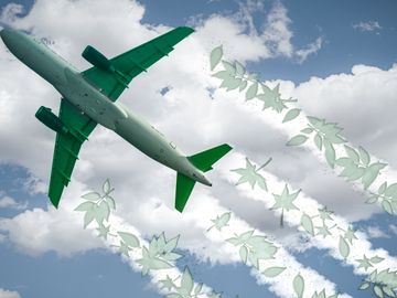  alt="Airline industry leaders, academics will advise Google on emissions calculations"  title="Airline industry leaders, academics will advise Google on emissions calculations" 