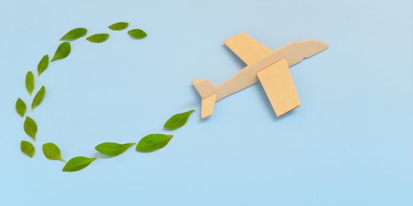 sustainable flight investments