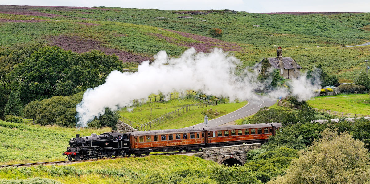 Partnership creates tree-planting rail travel booking tool