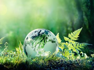 BeCause secures $1.9M investment for sustainability data play