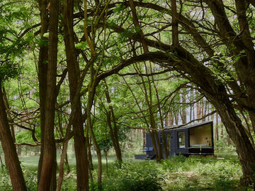 Raus adds €8.5M in funding for nature-based stays platform