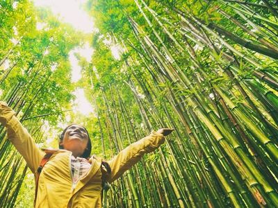 Expedia Group launches sustainable programs for destinations