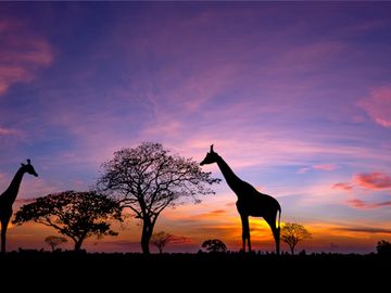 Exoticca lands €60M investment to grow multi-day tours platform