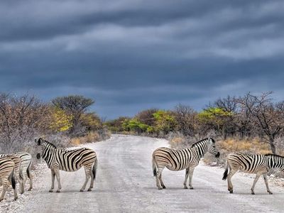 How Africa's online travel ecosystem is developing despite huge hurdles