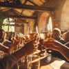Way partners with Hyatt on ancillary, loyalty offerings