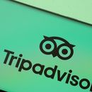 Investor grabs 9% of "undervalued" Tripadvisor Group