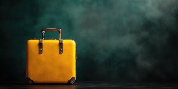 Airlines expressed economic concern. Should online travel giants be worried?