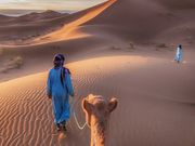 Startup Stage: WildyNess wants to connect MENA travelers with local experiences