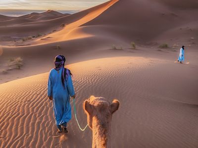 Startup Stage: WildyNess wants to connect MENA travelers with local experiences