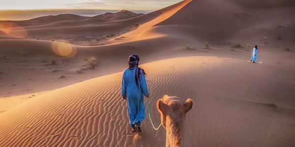 Startup Stage: WildyNess wants to connect MENA travelers with local experiences