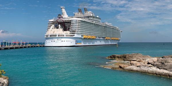 Royal Caribbean CEO opens up on AI use