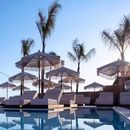 Wyndham working across AI platforms to drive direct bookings