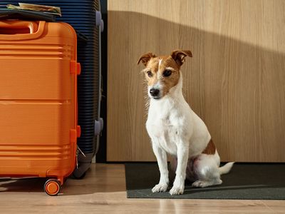 UK-based Snaptrip Group completes 2 acqusitions UK-based Snaptrip Group completes 2 acqusitions