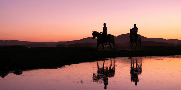 Travel’s third-largest sector faces its defining decade | PhocusWire