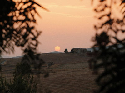 Top-level takeaways on the Italy travel market Top-level takeaways on the Italy travel market