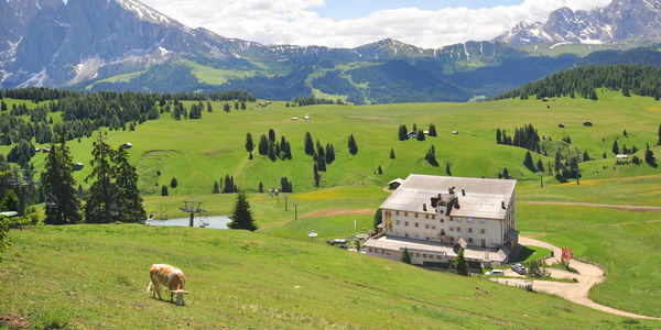 Smartness raises €47M Series B for lodging AI growth