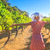 WeTravel acquires Tourwriter to broaden custom travel focus