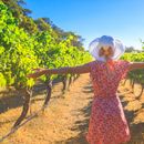 WeTravel acquires Tourwriter to broaden custom travel focus