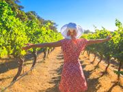 WeTravel acquires Tourwriter to broaden custom travel focus