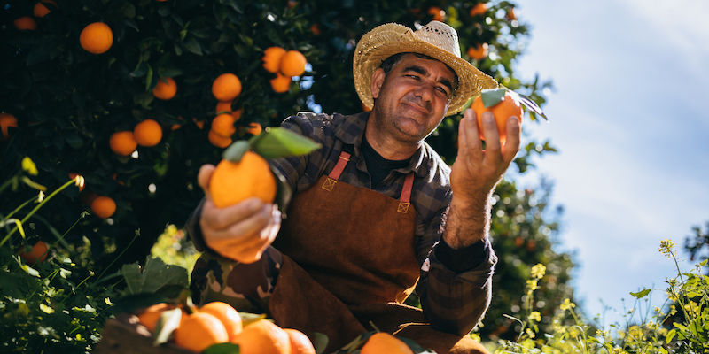 Bitter roots, sweet fruit - the current state of marketing automation in hospitality