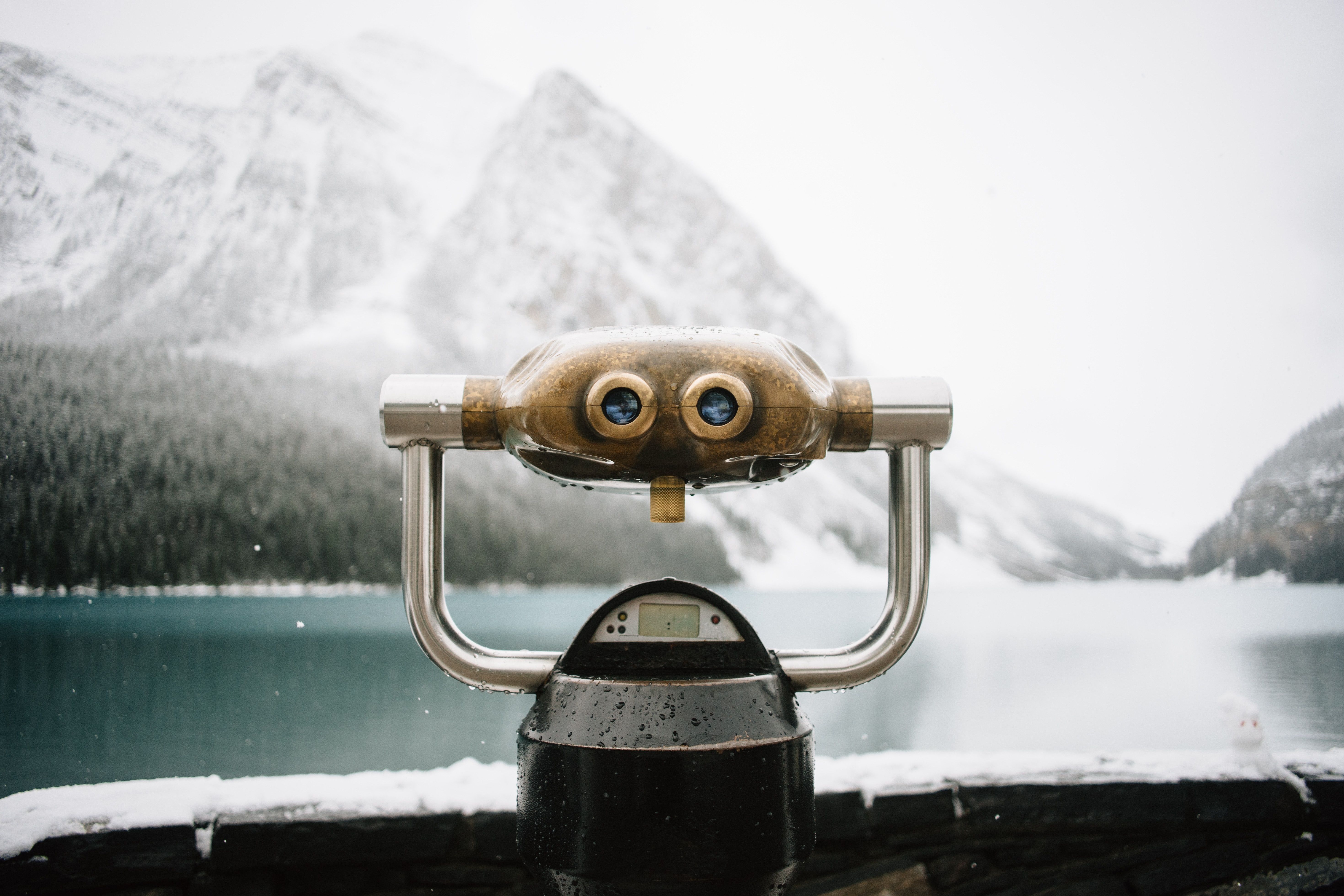 Travel and the complex world of native comparison search