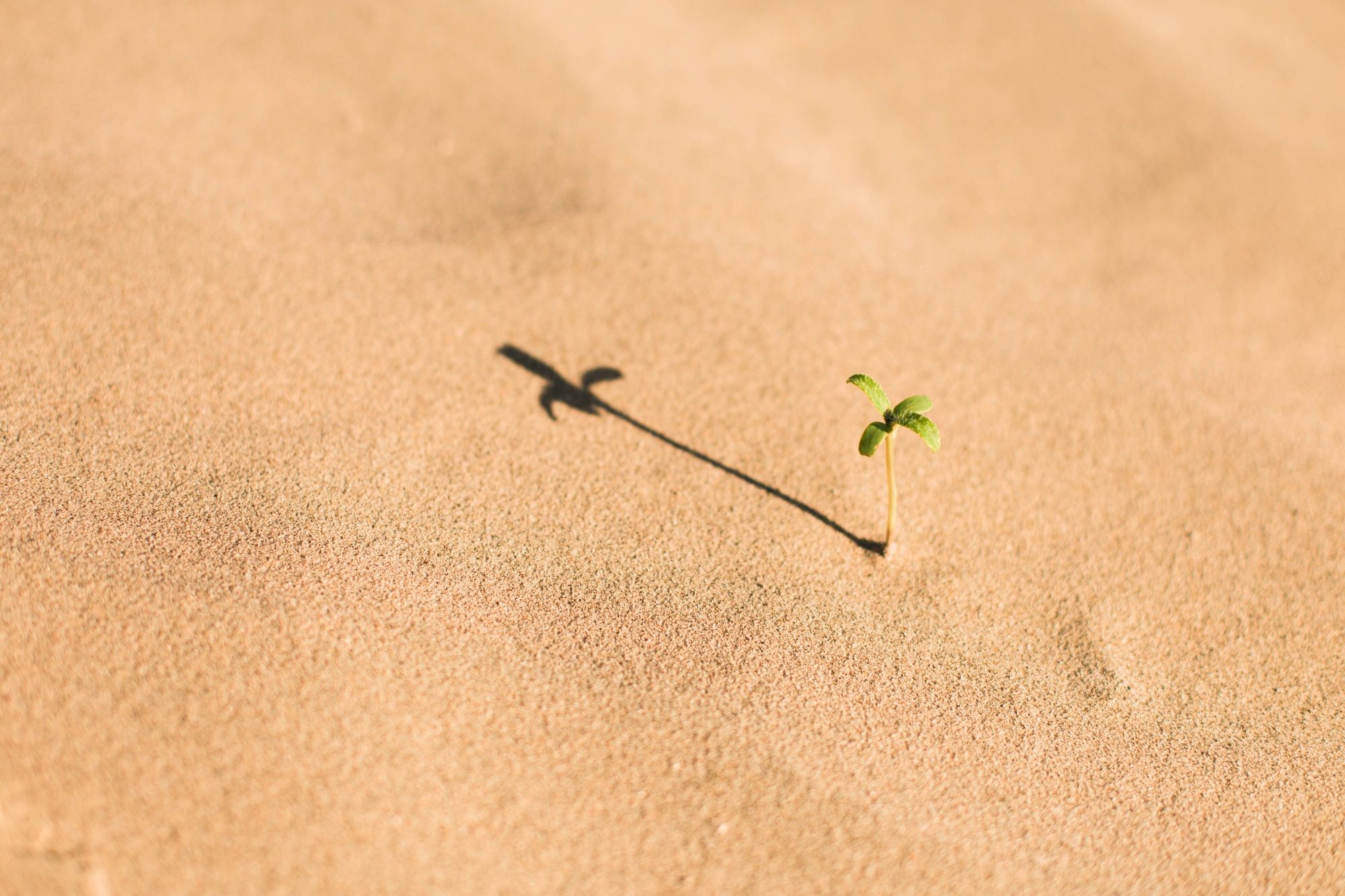  alt="How to scale in high-growth online travel"  title="How to scale in high-growth online travel" 