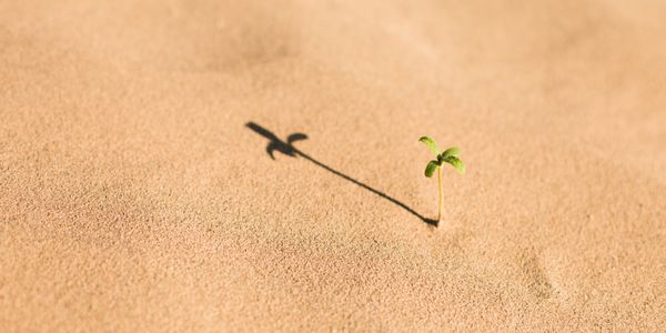 How to scale in high-growth online travel