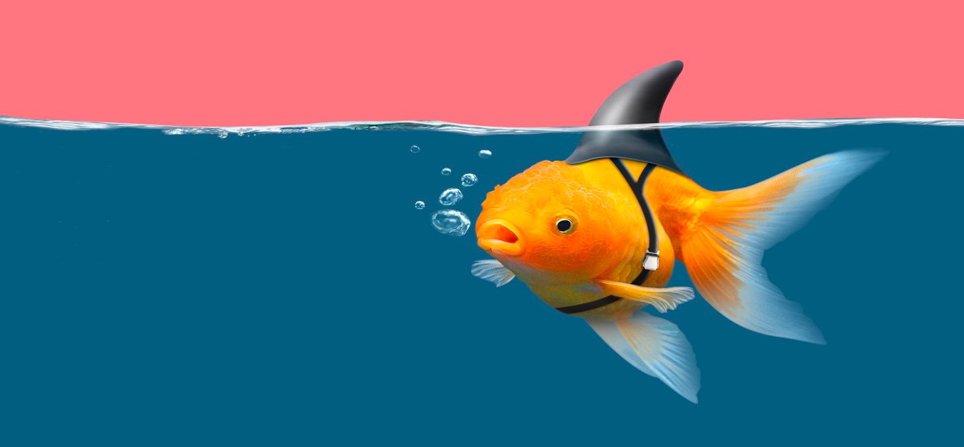 Four online travel agency myths to stop believing now