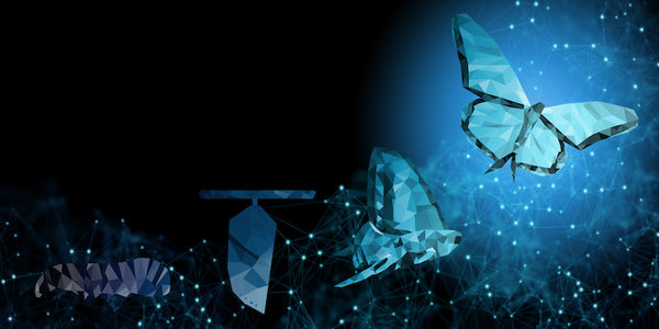 Hotel digital transformation in the aftermath of coronavirus